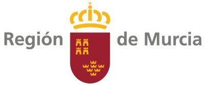 SMS Ciberseguridad CARM